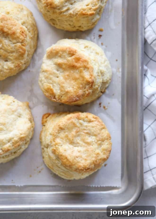 Easy Buttermilk Biscuits | completelydelicious.com