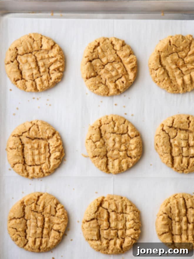 Simply 4-Ingredient Flourless Peanut Butter Cookies 6 baked flourless peanut butter cookies on sheet pan