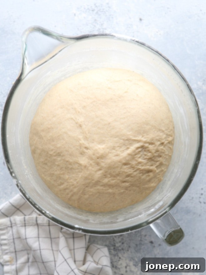 Cinnamon sourdough dough for apple fritters
