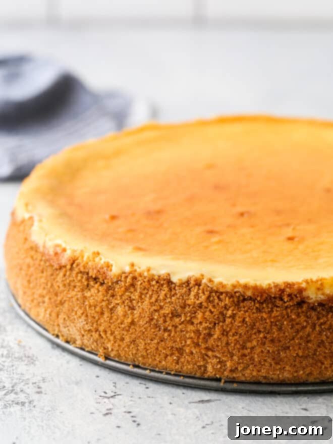 baked cheesecake in pan