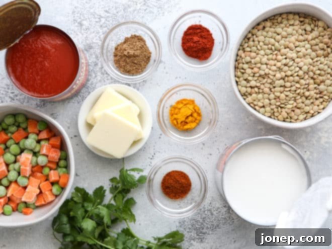 Assortment of fresh and pantry ingredients for making coconut curry lentils.