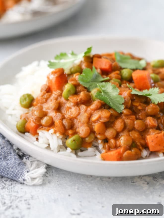 Serve this rich and flavorful coconut curry lentils dish with rice or flatbread for an easy and very satisfying meal.