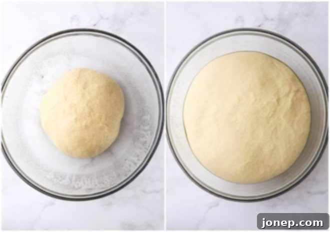 doughnut dough, before and after rising