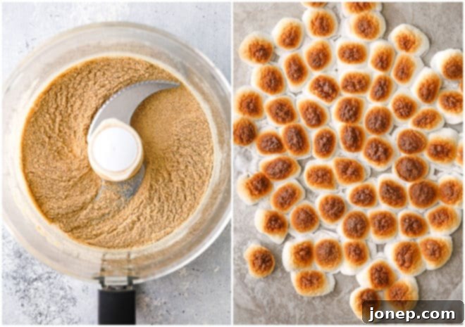 graham cracker crumbs and toasted marshmallows prepared for s'mores ice cream