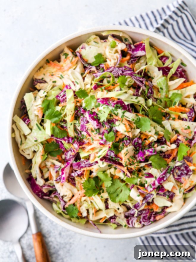 Easy Classic Coleslaw 2 This is the easiest classic coleslaw filled with cabbage, carrots, chives, cilantro and a creamy mayo dressing.