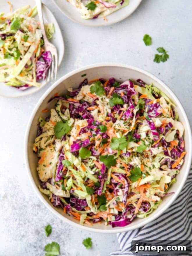 Easy Classic Coleslaw 5 This is the easiest classic coleslaw filled with cabbage, carrots, chives, cilantro and a creamy mayo dressing.