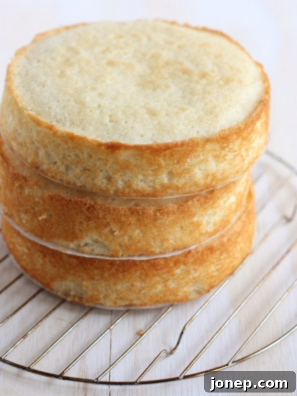 Mastering Flat Cake Layers for Professional Results 3 How to Bake Flat Cake Layers from completelydelicious.com
