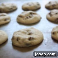 A plate of freshly baked dashboard chocolate chip cookies.
