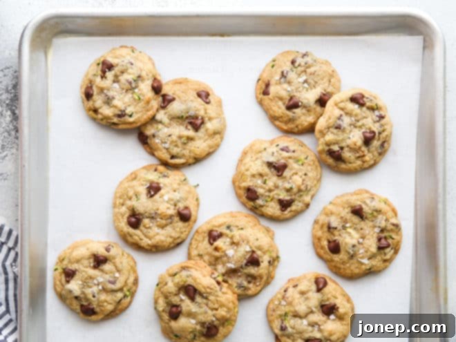Chocolate Chip Cookies with a Zucchini Twist 8 Freshly baked zucchini chocolate chip cookies cooling on a wire rack.