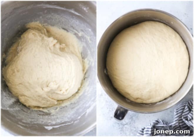 Bread dough before and after rising, showing significant volume increase