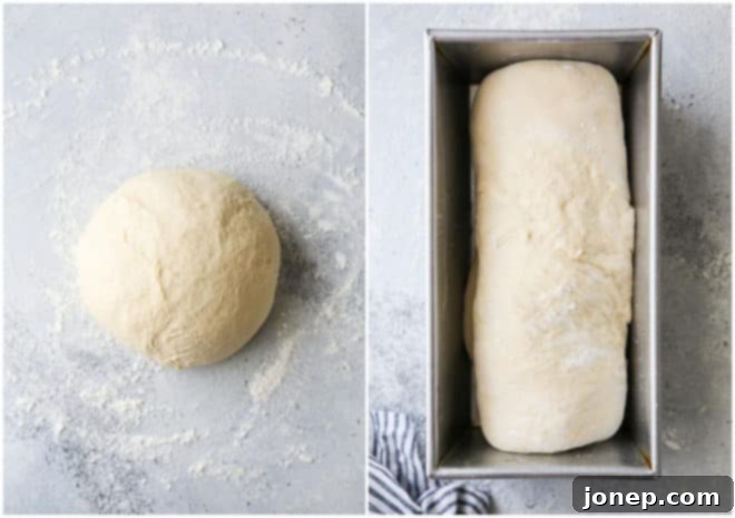 Shaping bread dough into a loaf and placing it into a pan for baking