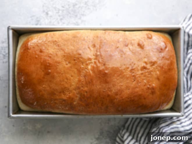 A freshly baked soft white sandwich bread loaf in a bread pan