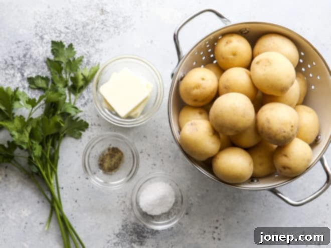 A collection of fresh ingredients laid out for making boiled potatoes, including various potatoes, a stick of salted butter, and a salt shaker with pepper grinder.