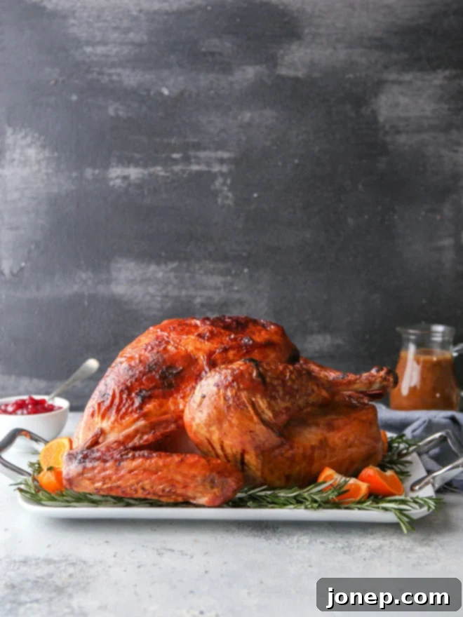 The Heart of My Thanksgiving Kitchen 2 A perfectly golden, juicy dry-brined roasted turkey, the star of any Thanksgiving feast, featuring beautifully crispy skin.