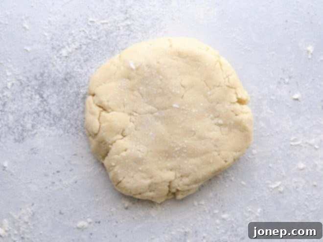 sugar cookie dough ready to roll out