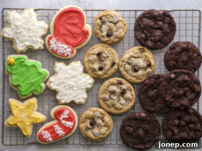A vibrant selection of cookies ideal for shipping, including frosted sugar cookies, classic chocolate chip cookies, and rich chocolate chunk cookies.
