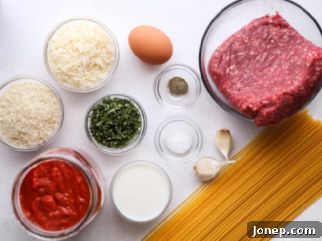 spaghetti and meatballs ingredients