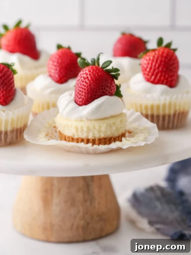 Bite-Sized Cheesecake Delights 2 Collection of mini cheesecakes on a cake stand, one with its paper wrapper peeled down to reveal the crust and creamy filling.