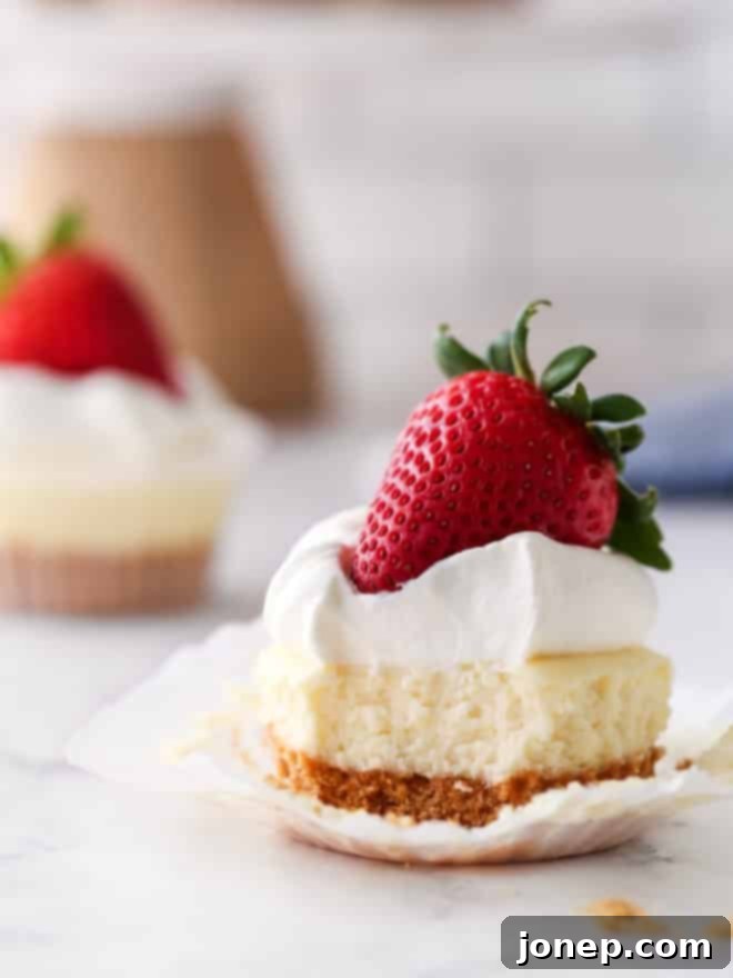 Bite-Sized Cheesecake Delights 3 A mini cheesecake with a bite taken out, showcasing the thick graham cracker crust and smooth cream cheese filling.