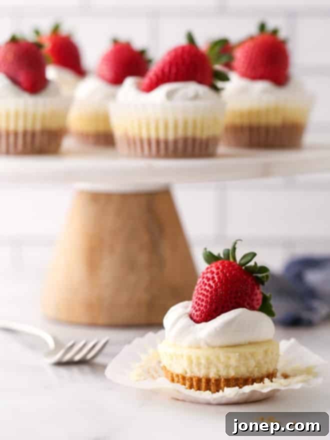 Bite-Sized Cheesecake Delights 8 A perfectly baked mini cheesecake, ready to be picked up and enjoyed, with its paper wrapper still on.