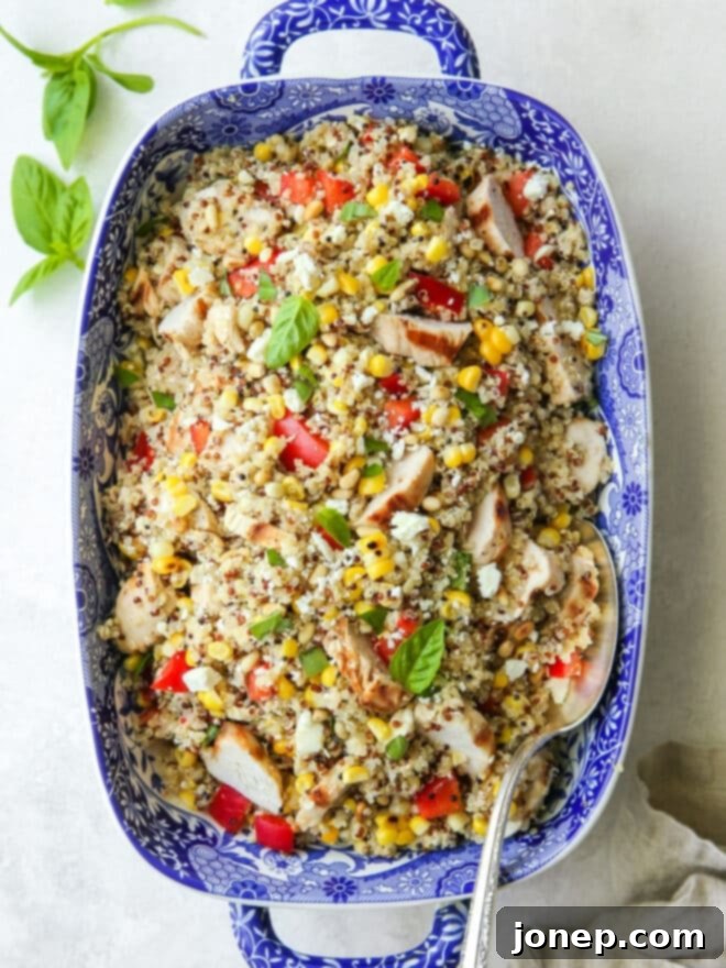 Vibrant grilled chicken quinoa salad in a blue ceramic dish, garnished with fresh basil