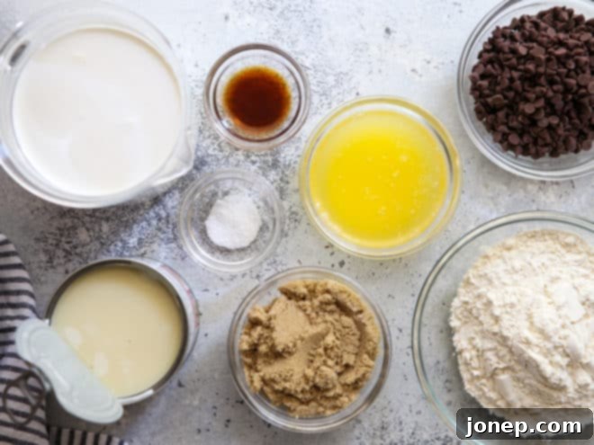 ingredients for no-churn chocolate chip cookie dough ice cream