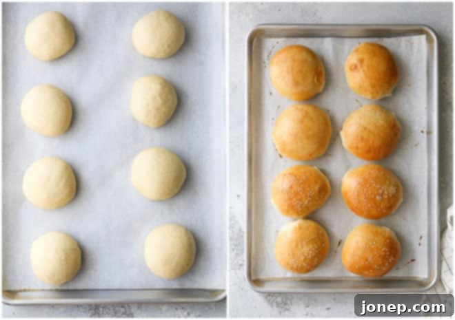 Delicious Homemade Sandwich, Slider, and Burger Buns 7 burger buns before and after baking