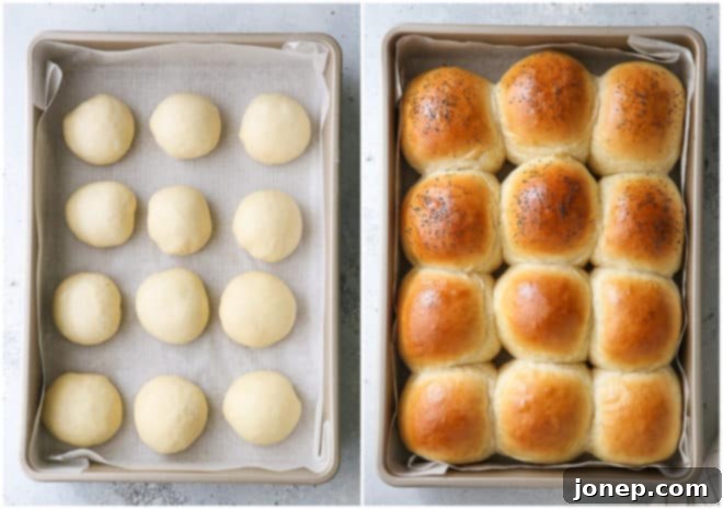 Delicious Homemade Sandwich, Slider, and Burger Buns 8 slider buns before and after baking