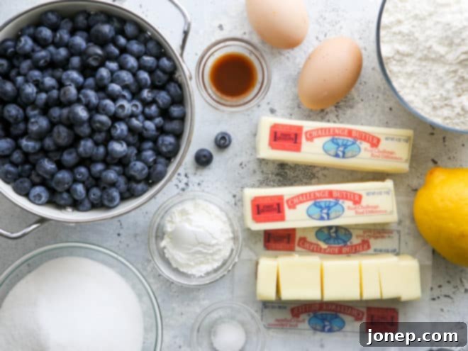 Berry Bliss Bars 3 Various ingredients laid out for making blueberry pie bars, including fresh blueberries, butter, sugar, flour, eggs, cornstarch, and lemon.