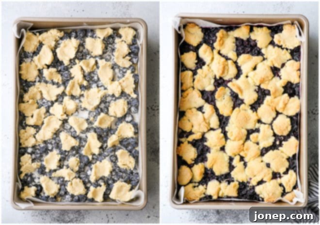 Berry Bliss Bars 5 Blueberry pie bars in a baking dish, shown before and after baking, with a golden brown crust and bubbling filling.