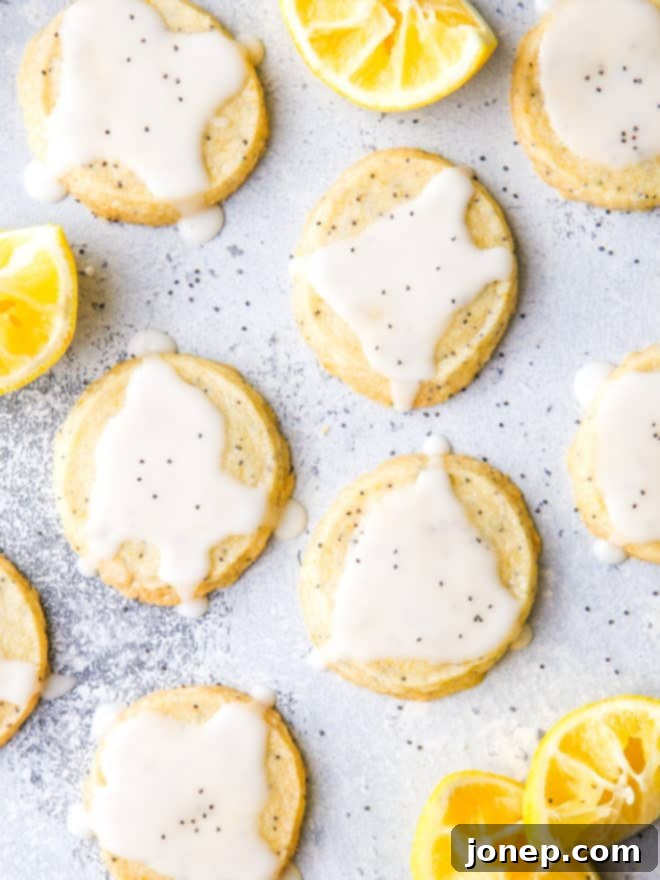 lemon poppy seed shortbread cookies