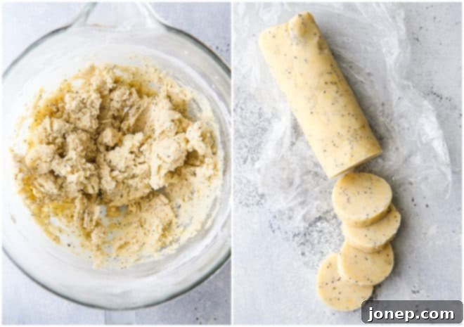 lemon poppy seed shortbread cookie dough in mixing bowl, and chilled and cut into rounds