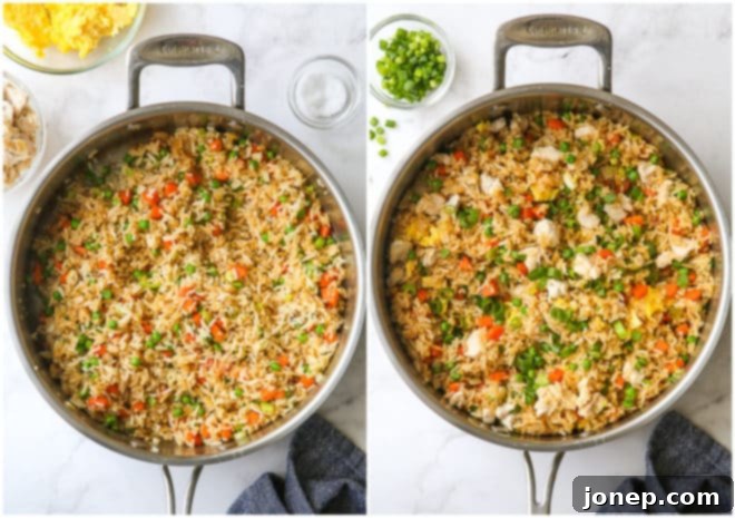 mixed fried rice