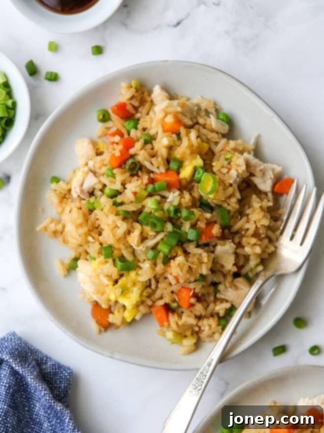close up of chicken fried rice on plates with a fork