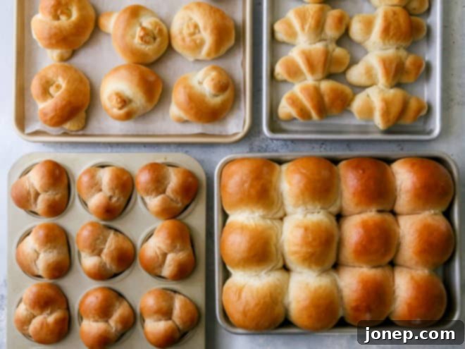 A close-up shot of a variety of freshly baked dinner rolls, some plain, some with herbs, and others with cheese, arranged artfully on a cooling rack.
