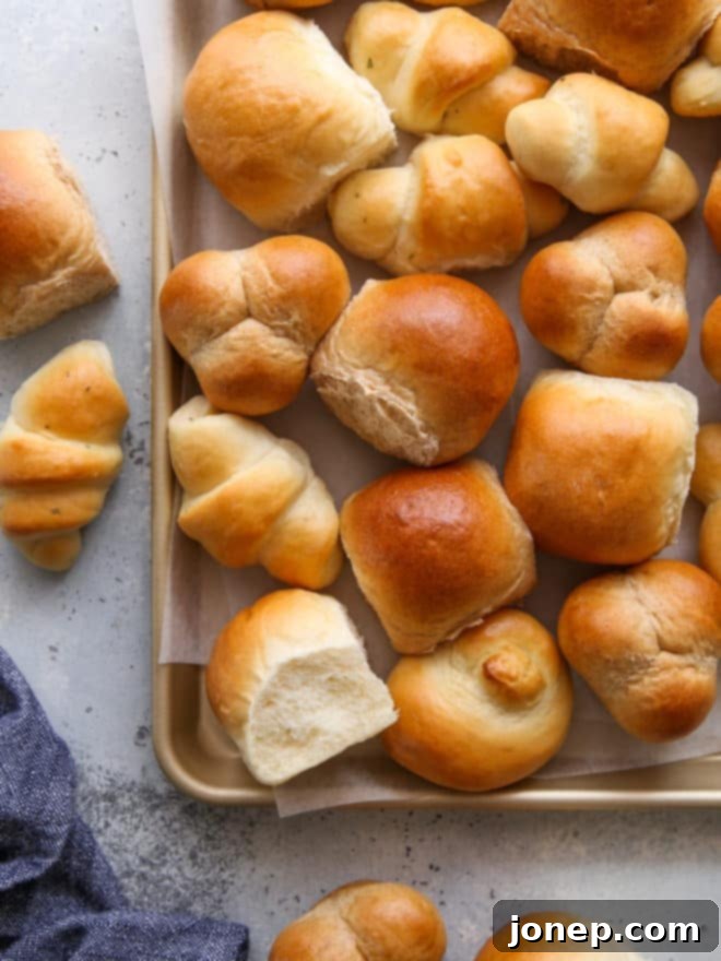 A captivating close-up of a sheet pan showcasing a vibrant array of different shapes and flavors of dinner rolls, highlighting their textures and golden crusts.