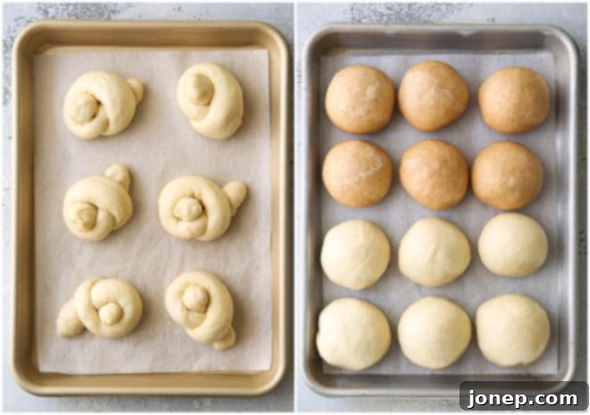A baking sheet filled with various dinner roll shapes, including knots and rounds, after their second rise and before baking, showing their puffy texture.