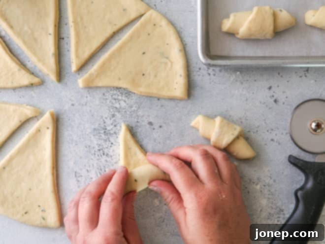 Mastering Dinner Roll Shapes 6 Hands carefully rolling up a triangular piece of herb-infused dinner roll dough from the wide end to the pointed tip, creating a crescent shape.