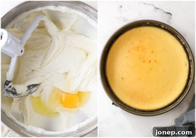 cheesecake filling and baked cheesecake