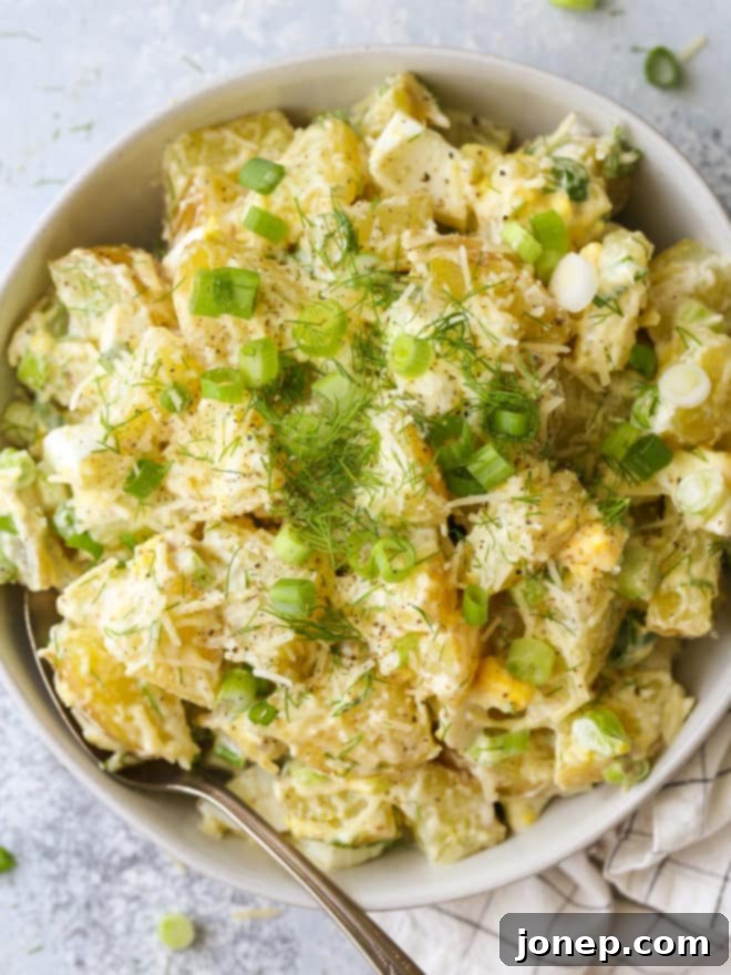 Closeup of the best creamy potato salad, garnished with fresh dill
