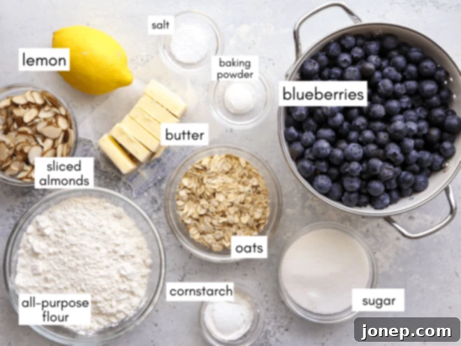 Sweet Berry Almond Delight 3 A visual display of all the fresh ingredients needed to make a blueberry crisp: blueberries, sugar, cornstarch, lemon, flour, oats, almonds, butter.
