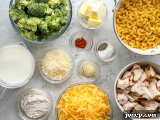 ingredients for chicken broccoli macaroni and cheese
