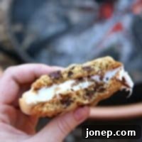 Chocolate Chip S'mores Cookies 2 Homemade Chocolate Chip Cookie S'mores with toasted marshmallow