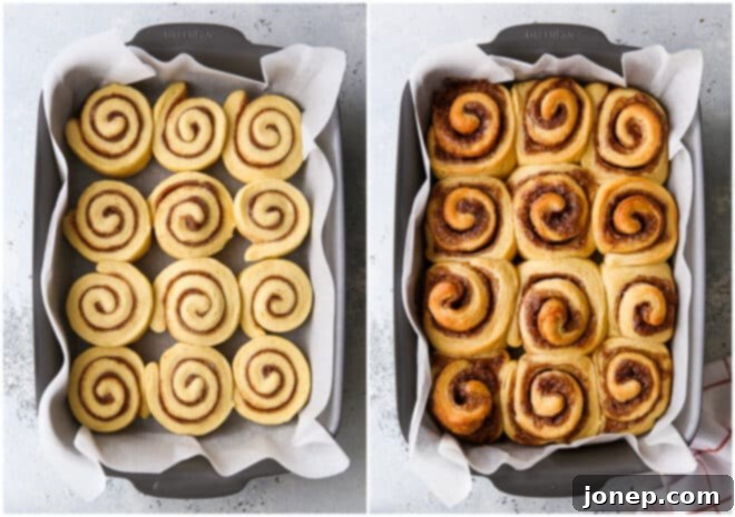 Festive Eggnog Cinnamon Rolls 5 Dough rising in a bowl covered with plastic wrap.