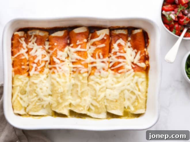 Vibrant Red and Green Chicken Enchiladas 6 baked red and green chicken enchiladas