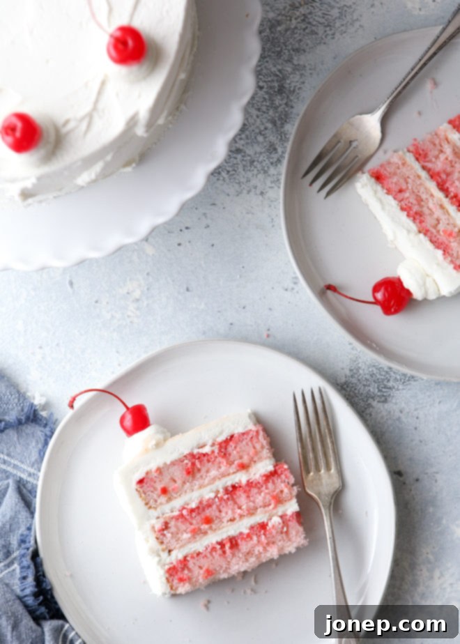 A slice of vibrant pink cherry chip cake, generously covered in a fluffy white whipped vanilla buttercream, ready to be served.