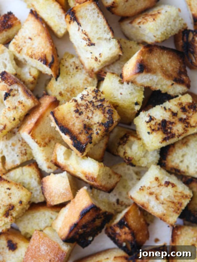 Plated serving of grilled panzanella salad with chicken