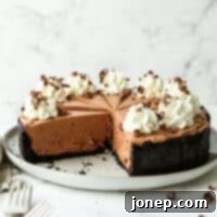 Effortless Chocolate Cheesecake Bliss 9 Side view of no-bake chocolate cheesecake with chocolate shavings on top.