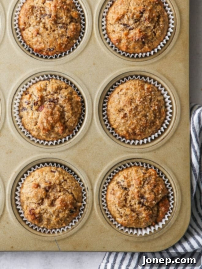 Close-up of baked oat bran muffins in a muffin pan, showing golden tops and visible mix-ins