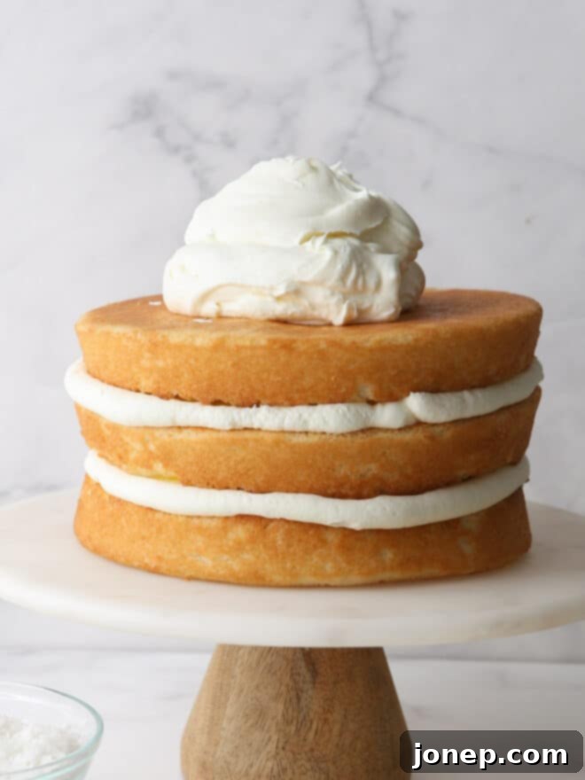 Piling luscious Chantilly cream frosting high on a multi-layered cake with fresh berries